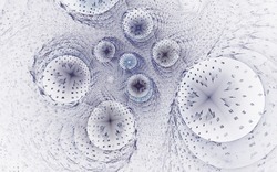 2014 04 14 Plastic 49-white.jpg